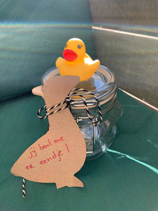 Jij bent me er eendje!