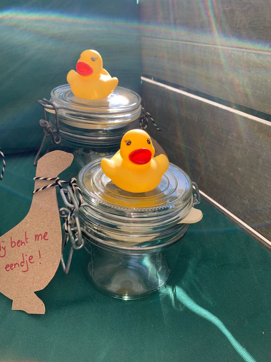 Jij bent me er eendje!